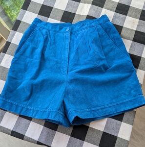 Danier True Vintage High Waist Suede Leather Shorts